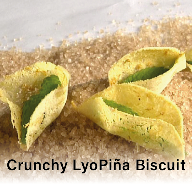Crunchy LyoPina Biscuit Crunchy LyoPina Biscuit