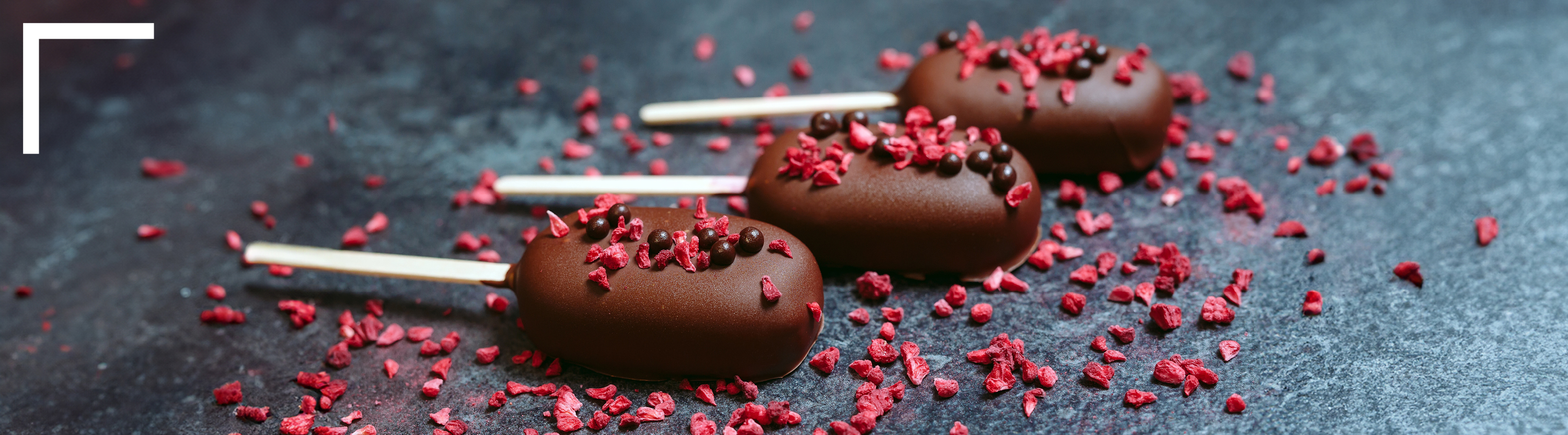 LyoSabores header Banner - chocolate sticks with dried fruit flakes LyoSabores header Banner - chocolate sticks with dried fruit flakes